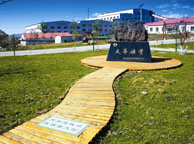 三亚天华矿业集团