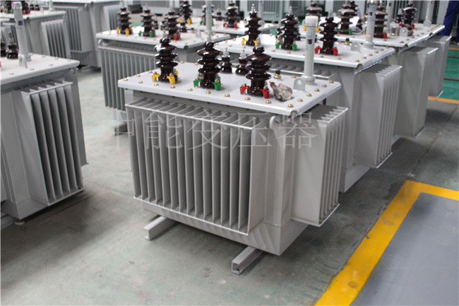 三亚S22-250KVA/10KV变压器